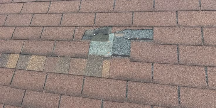 Featured image for &ldquo;How Virginia&rsquo;s Humidity and Heat Cycles Damage Asphalt Shingles Faster Than You&rsquo;d Expect&rdquo;